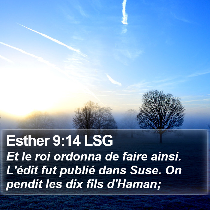 Esther 9:14 LSG Bible Study