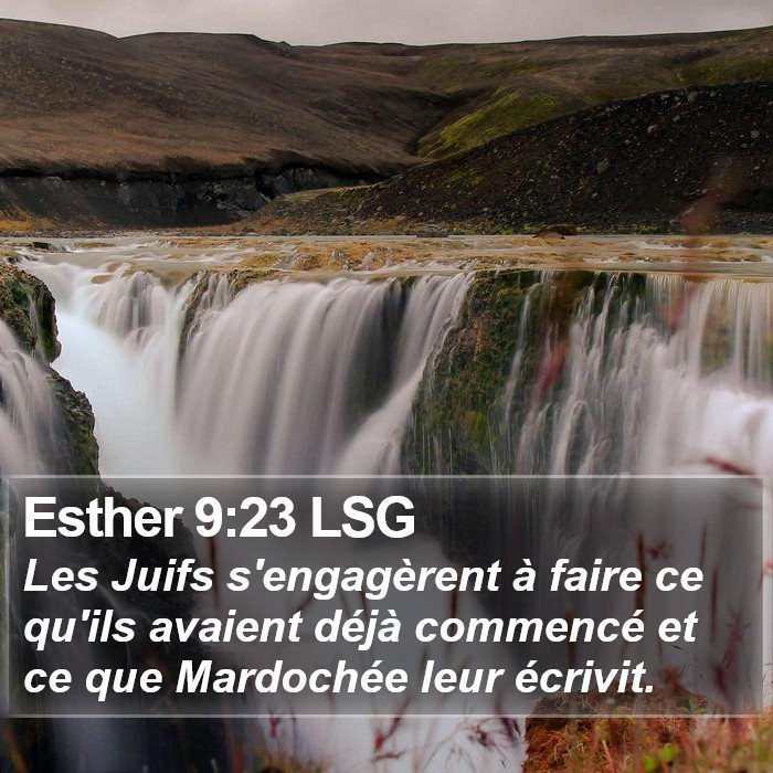 Esther 9:23 LSG Bible Study