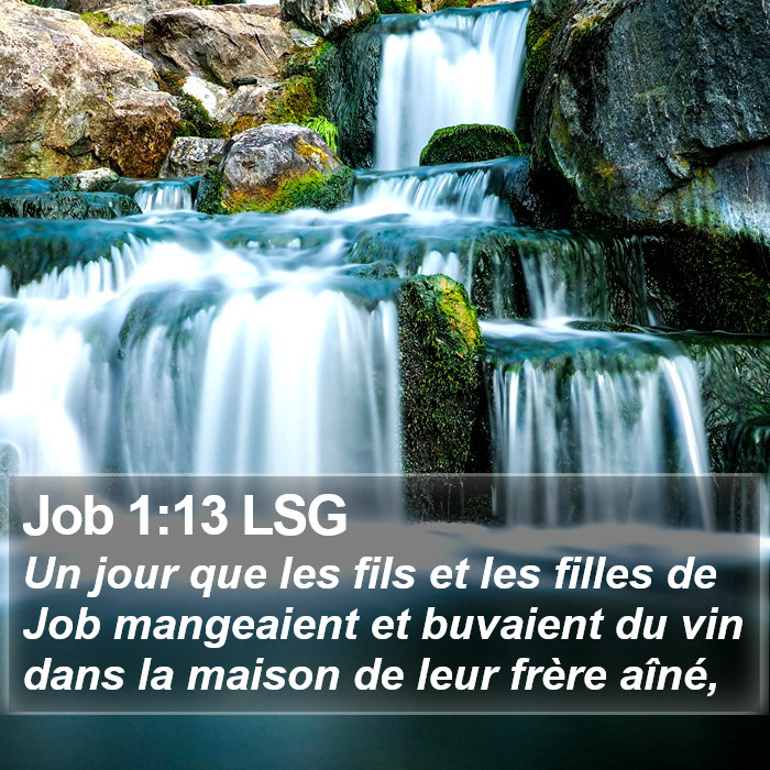 Job 1:13 LSG Bible Study