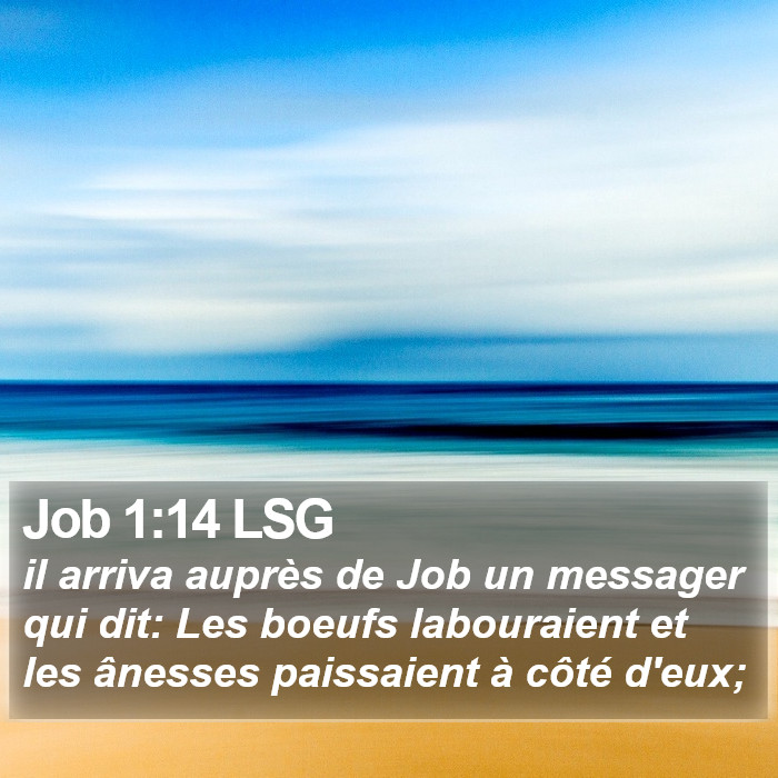 Job 1:14 LSG Bible Study