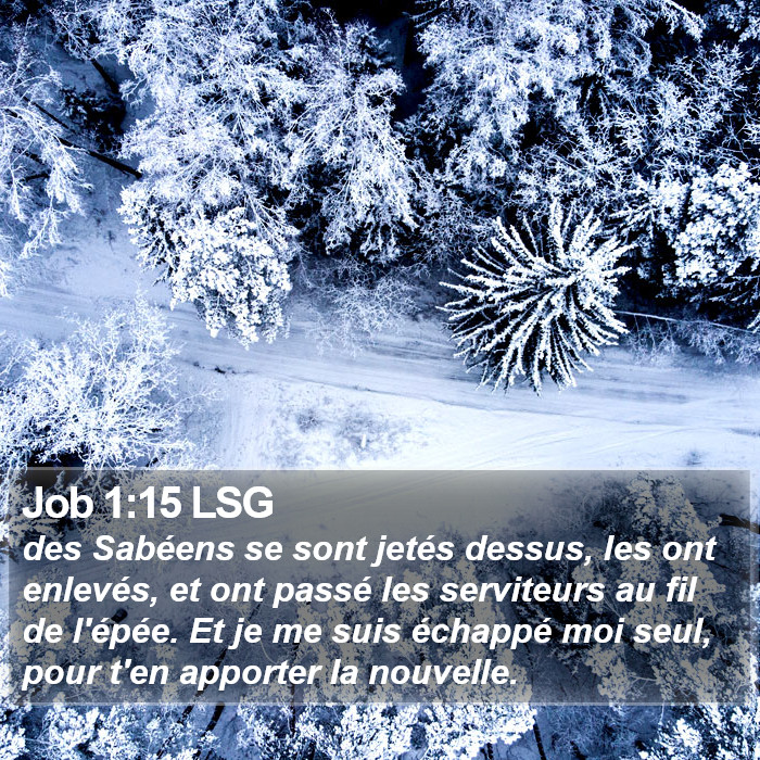 Job 1:15 LSG Bible Study