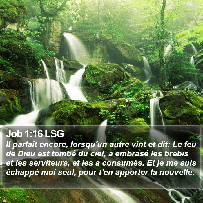 Job 1:16 LSG Bible Study