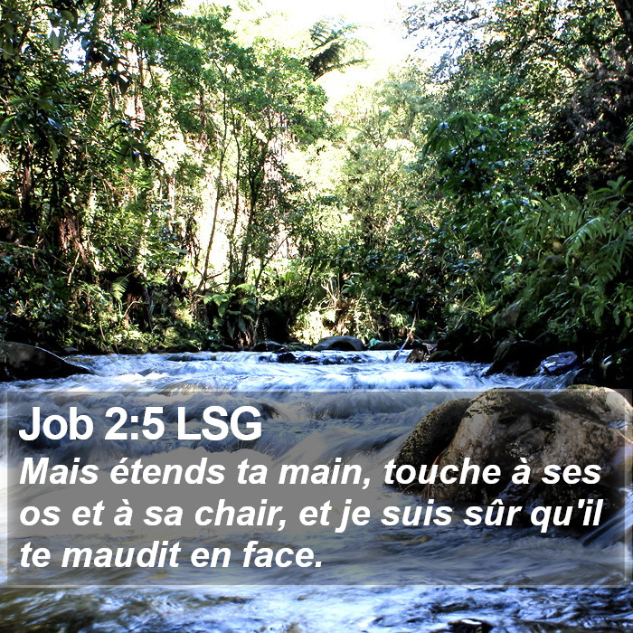 Job 2:5 LSG Bible Study