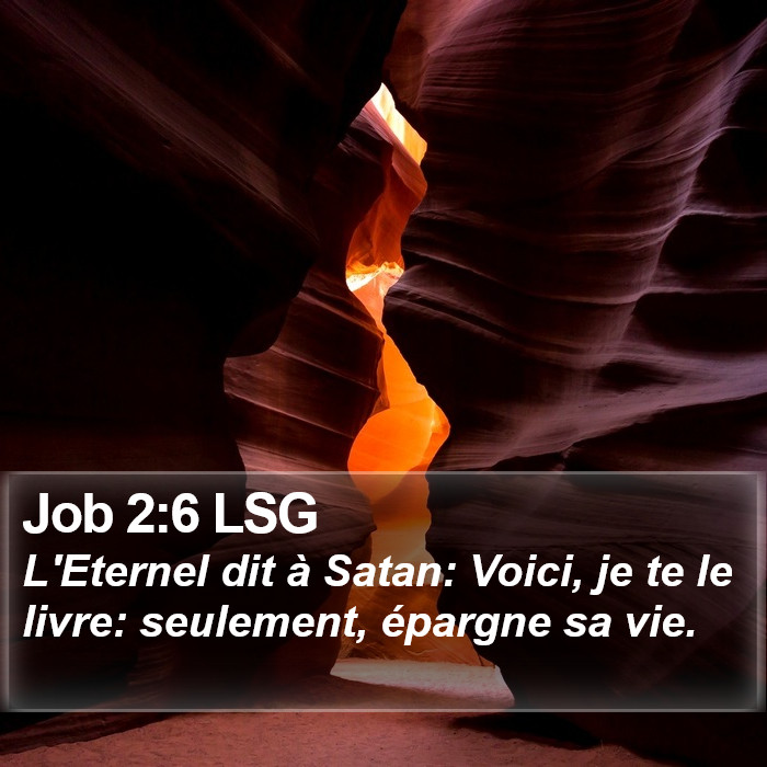 Job 2:6 LSG Bible Study