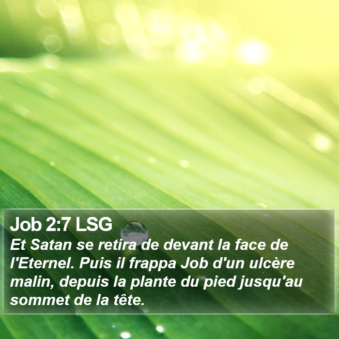 Job 2:7 LSG Bible Study