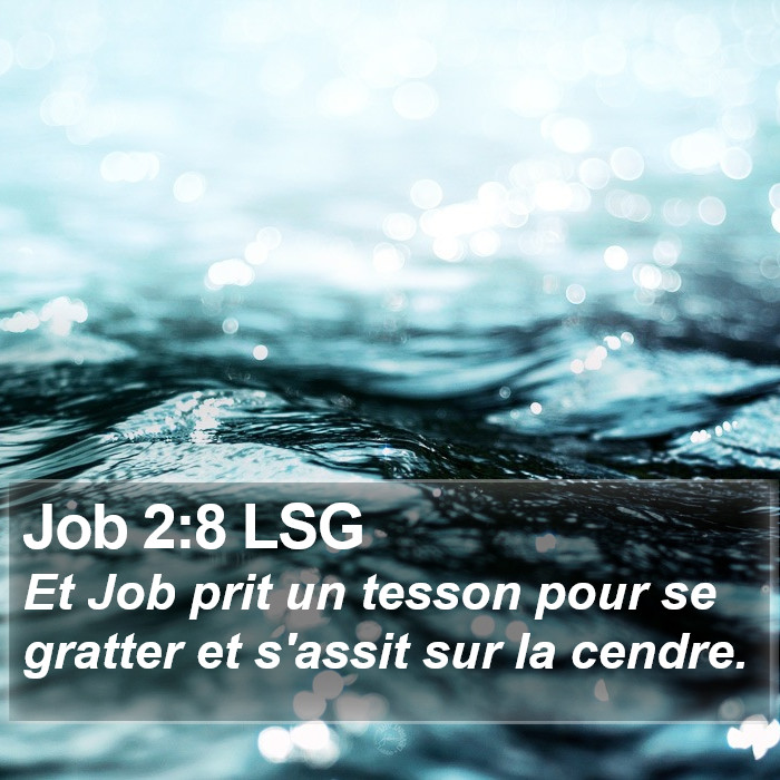 Job 2:8 LSG Bible Study