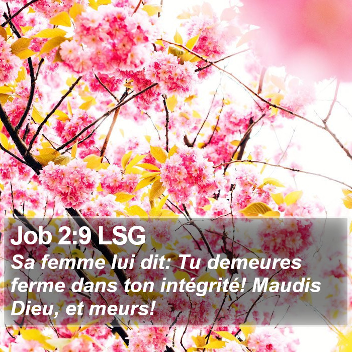 Job 2:9 LSG Bible Study