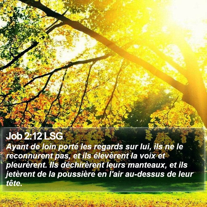 Job 2:12 LSG Bible Study