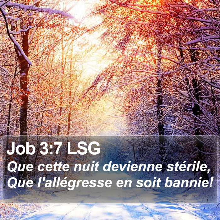 Job 3:7 LSG Bible Study