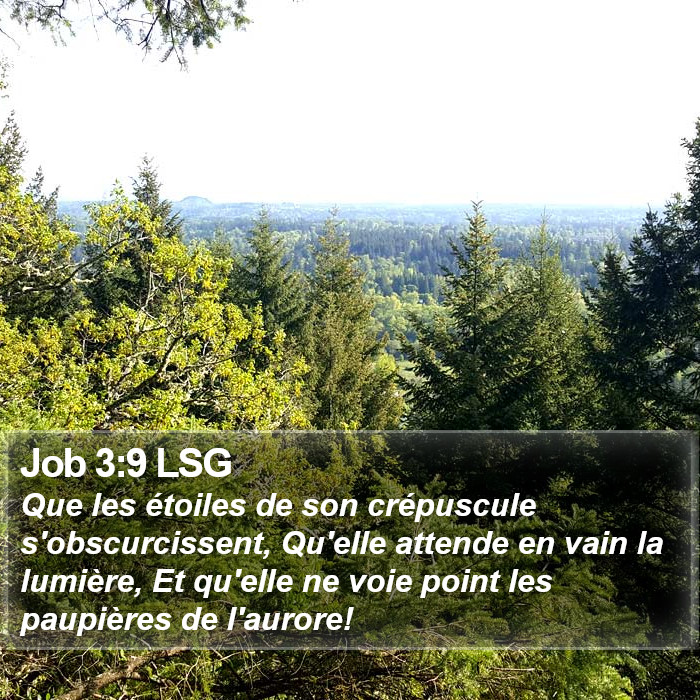 Job 3:9 LSG Bible Study