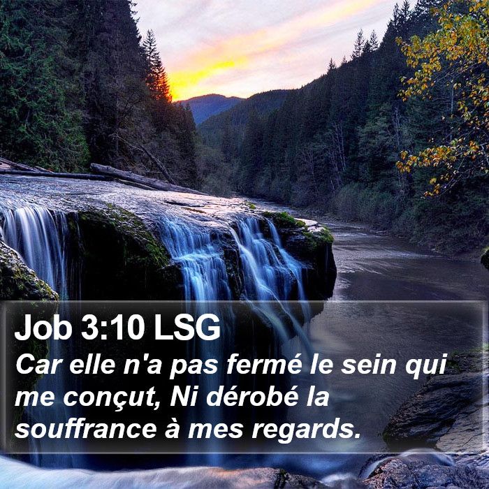 Job 3:10 LSG Bible Study