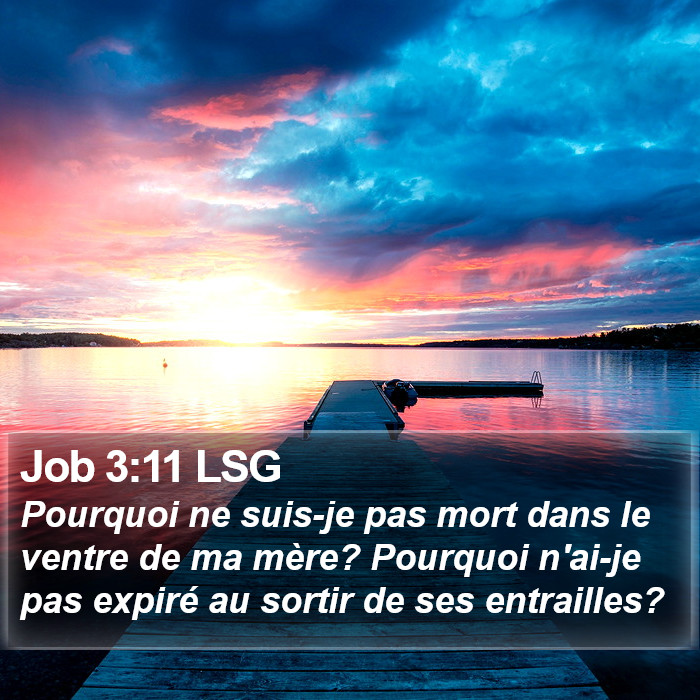 Job 3:11 LSG Bible Study