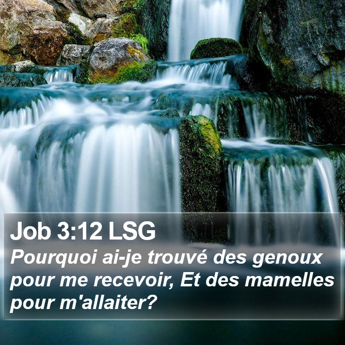 Job 3:12 LSG Bible Study