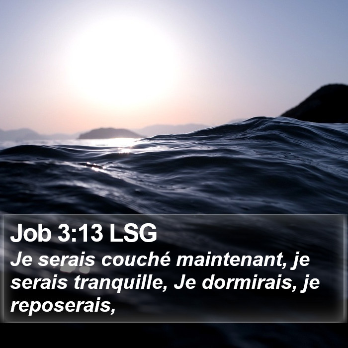 Job 3:13 LSG Bible Study