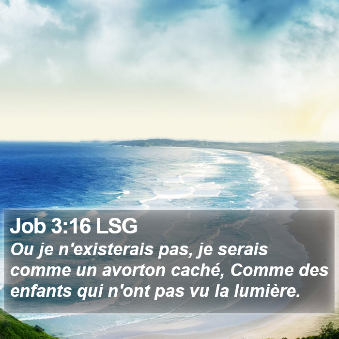 Job 3:16 LSG Bible Study