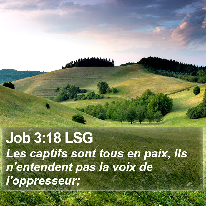 Job 3:18 LSG Bible Study