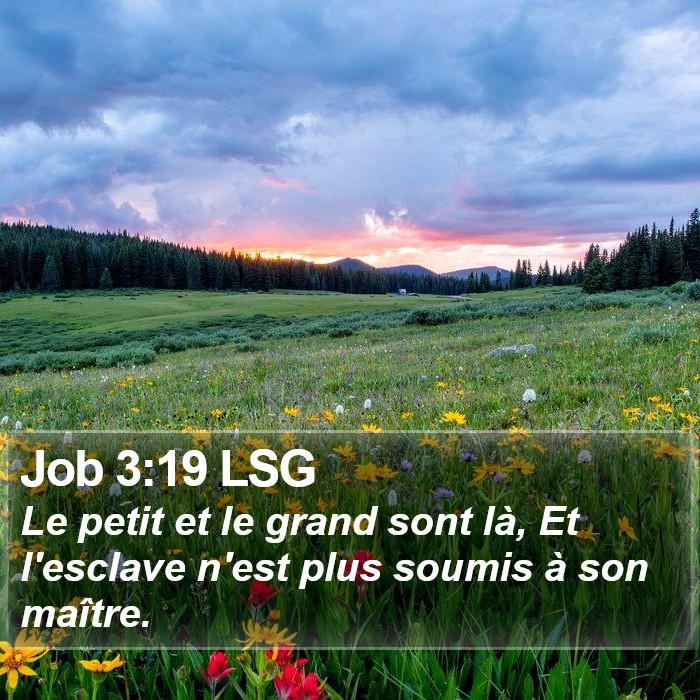 Job 3:19 LSG Bible Study