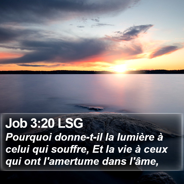 Job 3:20 LSG Bible Study