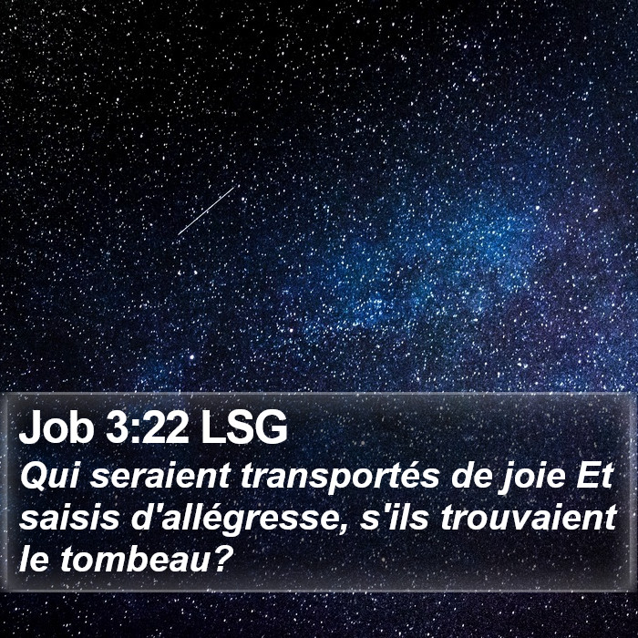 Job 3:22 LSG Bible Study