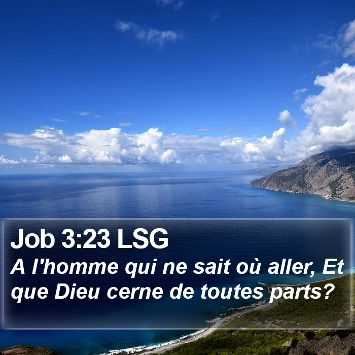 Job 3:23 LSG Bible Study