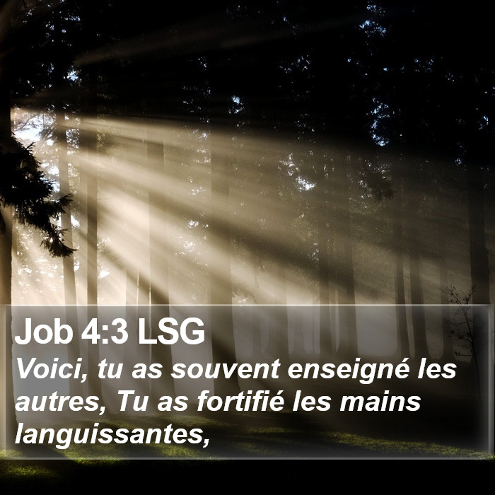 Job 4:3 LSG Bible Study