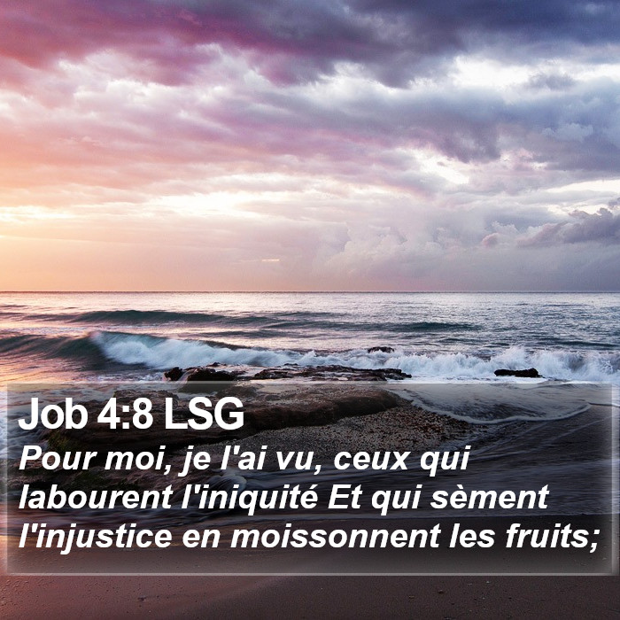 Job 4:8 LSG Bible Study