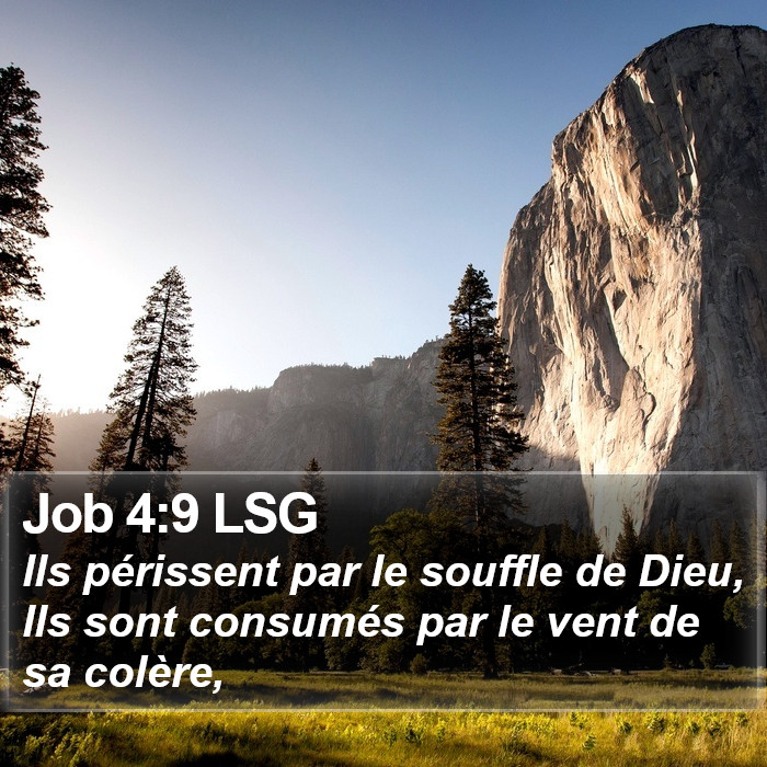 Job 4:9 LSG Bible Study