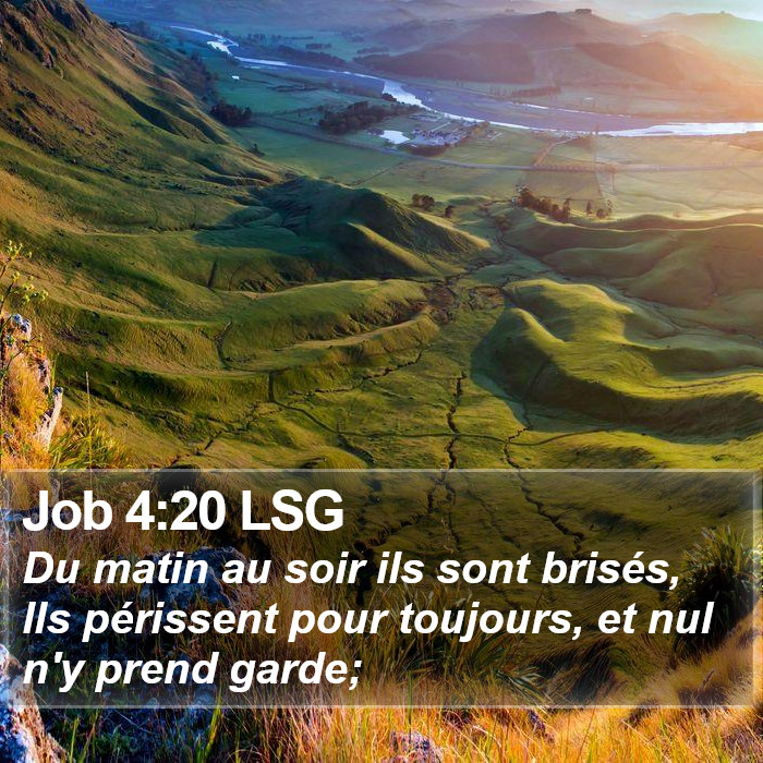 Job 4:20 LSG Bible Study