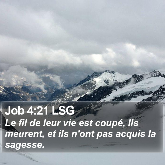 Job 4:21 LSG Bible Study