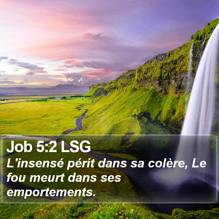 Job 5:2 LSG Bible Study