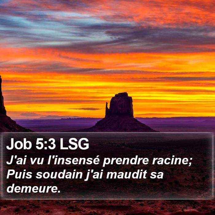 Job 5:3 LSG Bible Study