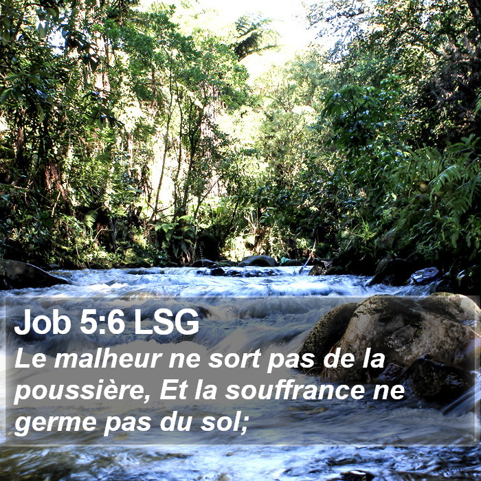 Job 5:6 LSG Bible Study