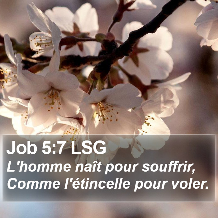 Job 5:7 LSG Bible Study