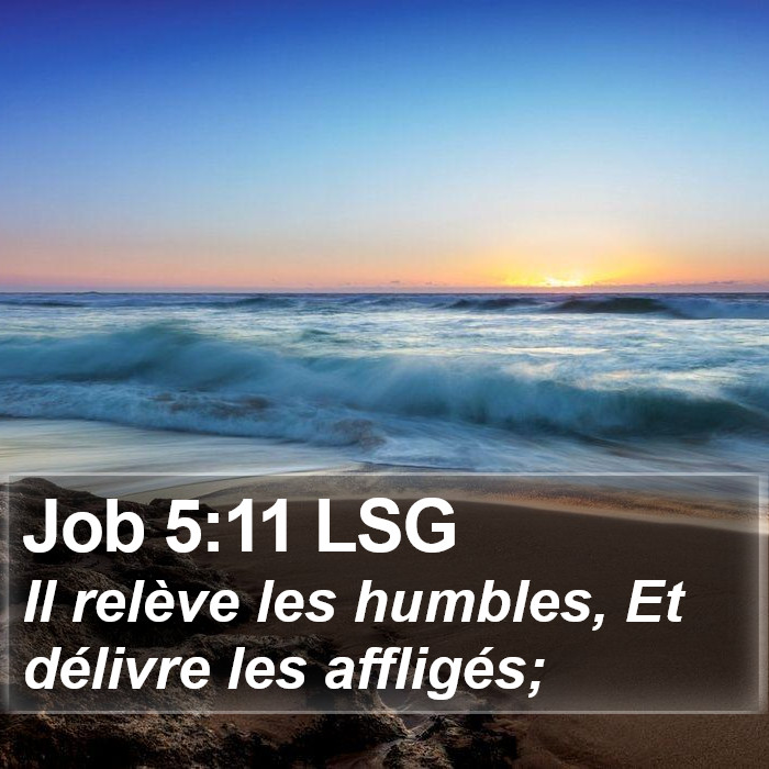 Job 5:11 LSG Bible Study