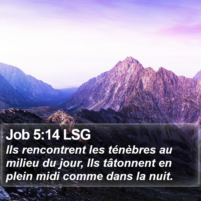 Job 5:14 LSG Bible Study