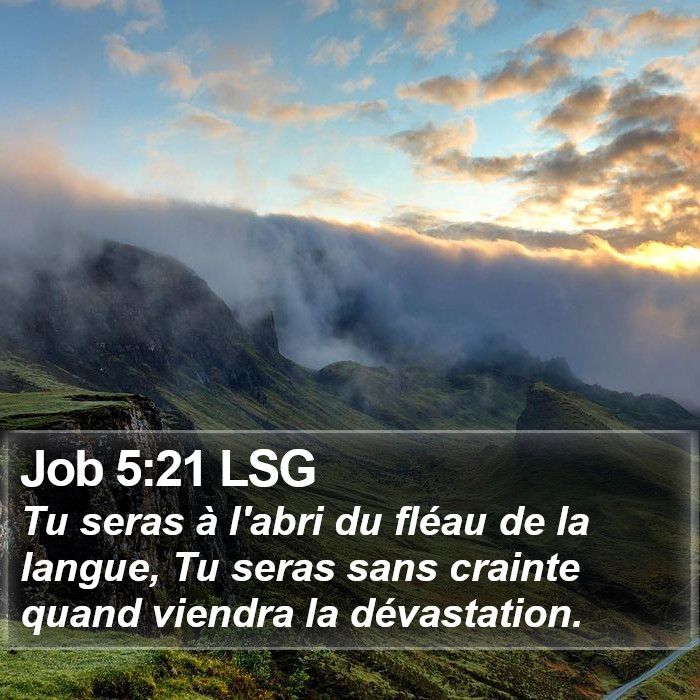 Job 5:21 LSG Bible Study