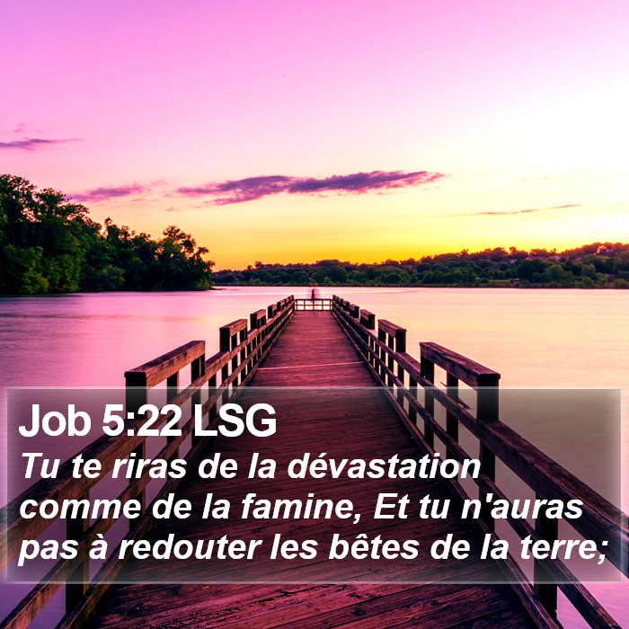 Job 5:22 LSG Bible Study