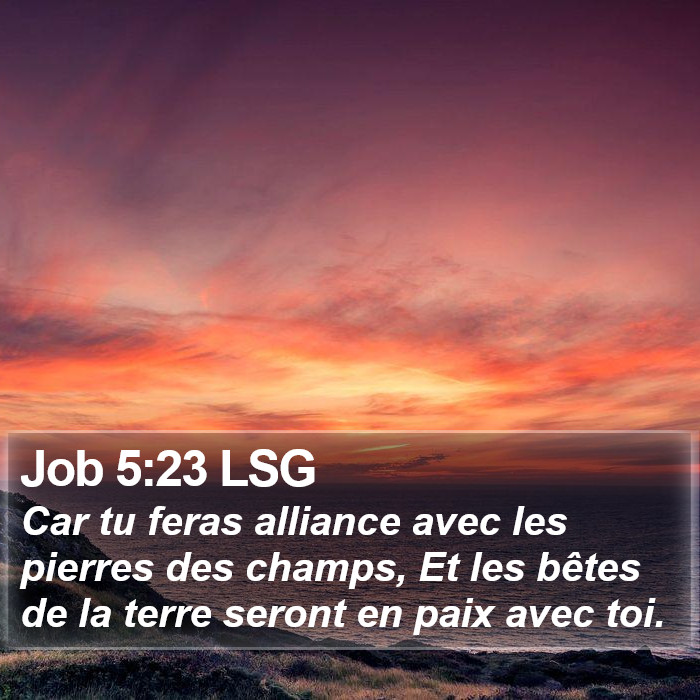 Job 5:23 LSG Bible Study