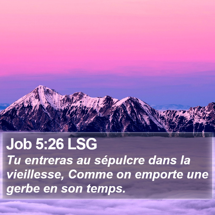 Job 5:26 LSG Bible Study