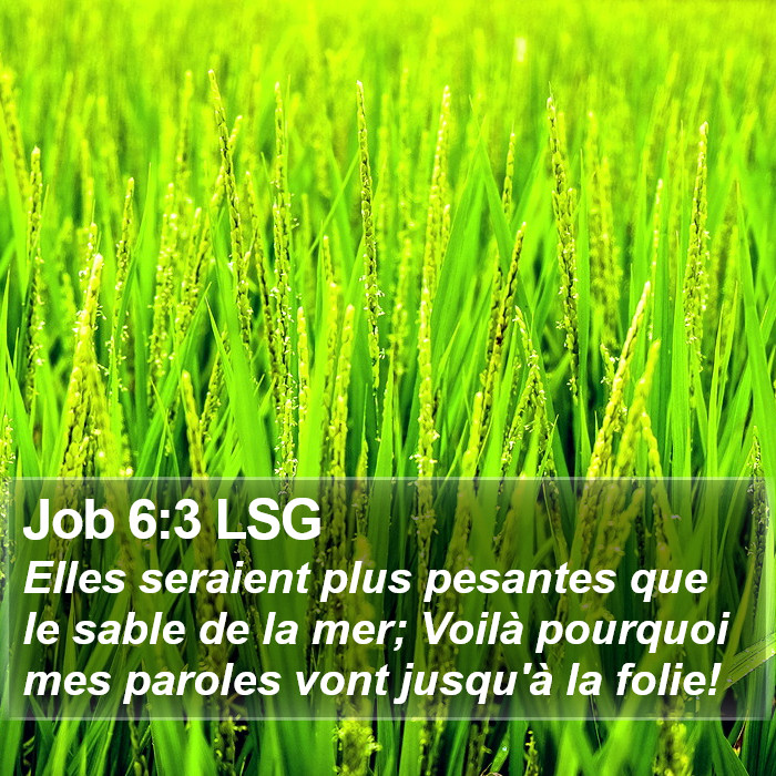 Job 6:3 LSG Bible Study