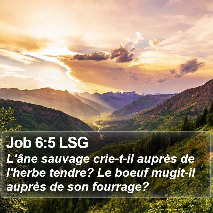 Job 6:5 LSG Bible Study