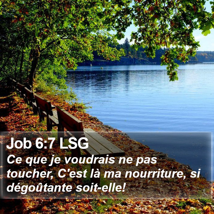 Job 6:7 LSG Bible Study