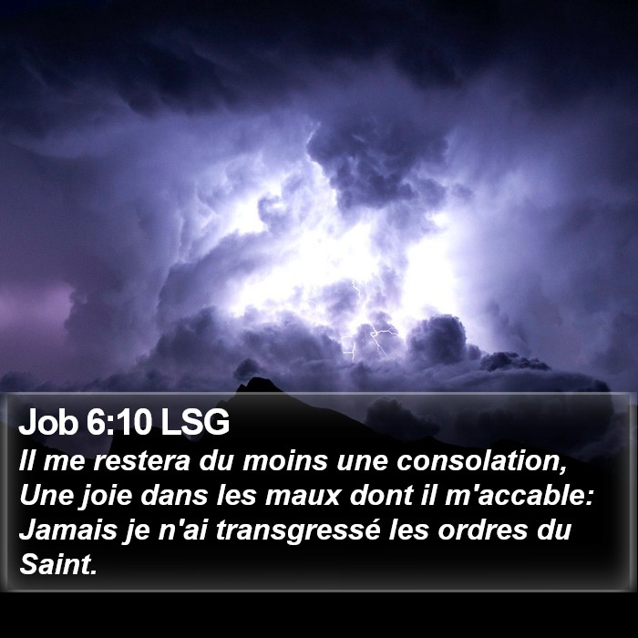 Job 6:10 LSG Bible Study