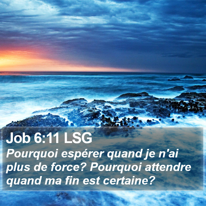 Job 6:11 LSG Bible Study