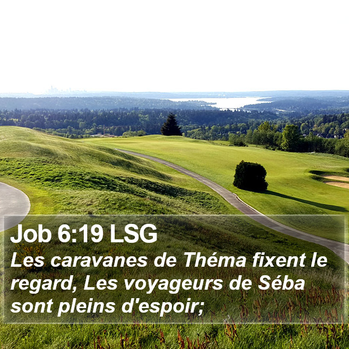 Job 6:19 LSG Bible Study