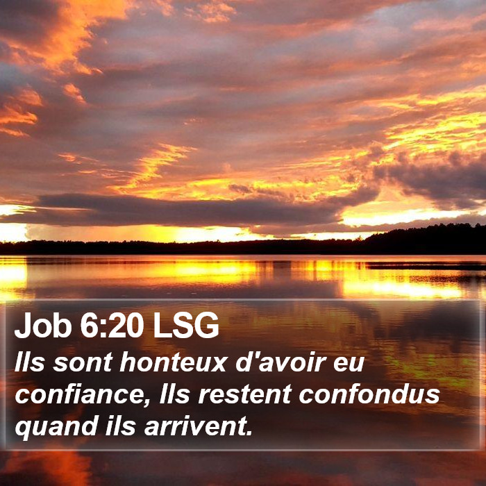 Job 6:20 LSG Bible Study