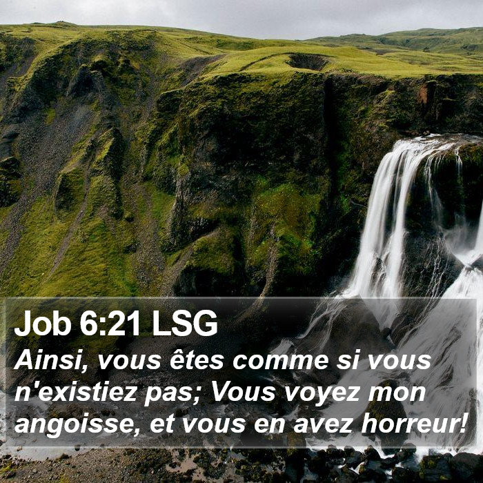 Job 6:21 LSG Bible Study