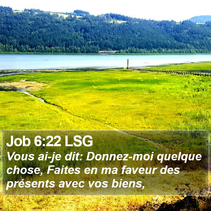 Job 6:22 LSG Bible Study