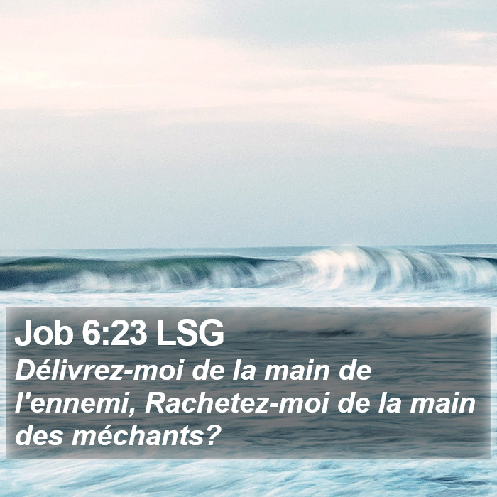 Job 6:23 LSG Bible Study