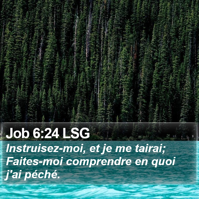 Job 6:24 LSG Bible Study